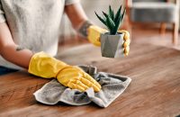 Beautiful young woman makes cleaning the house. Girl rubs dust. Woman in protective gloves is smiling and wiping dust using a duster while cleaning her house.